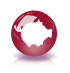 UNITY Gold E-Savings