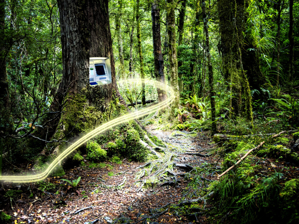 Cash machine set into tree trunk in forest path with light trail.