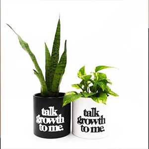 Two black and white mugs with a plant and the words talk grow to me.