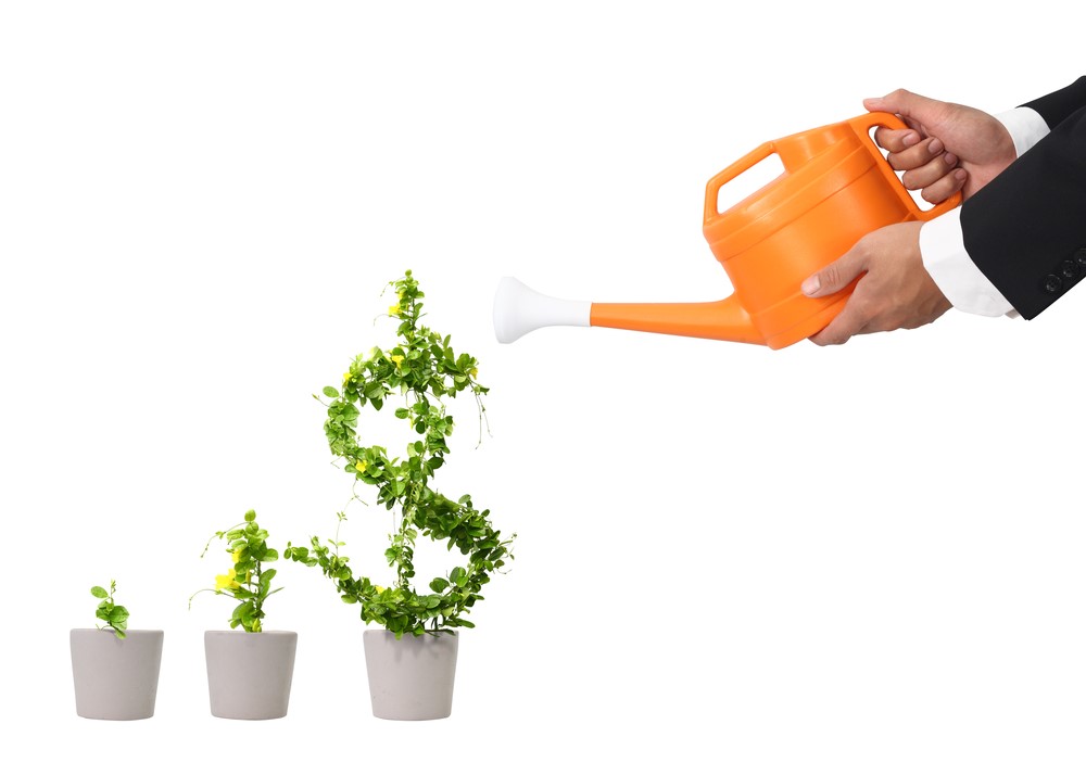 A man in a suit watering a plant with a dollar sign.
