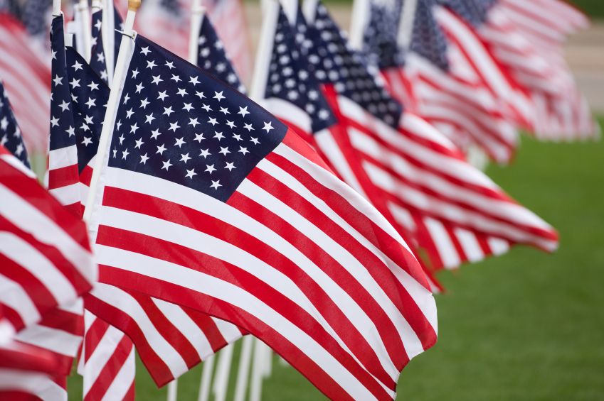 A row of american flags on a grassy field.