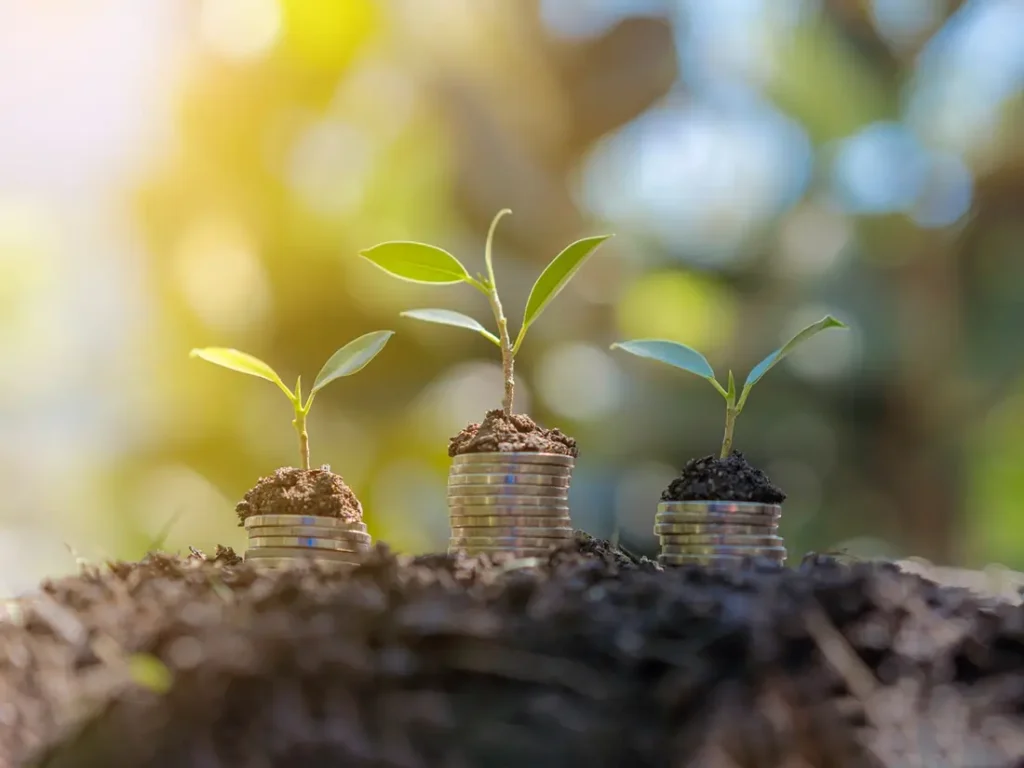 A stack of coins with a plant growing out of them.