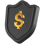 Icon Shield Money Sign